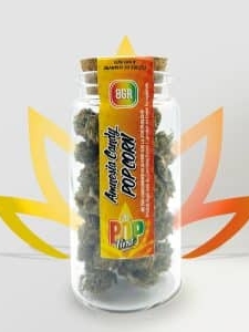 pop first amnesia candy